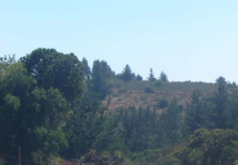 ProKasa Propiedades
